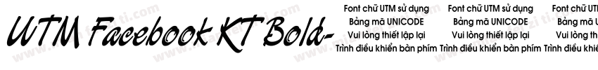 UTM Facebook KT Bold字体转换